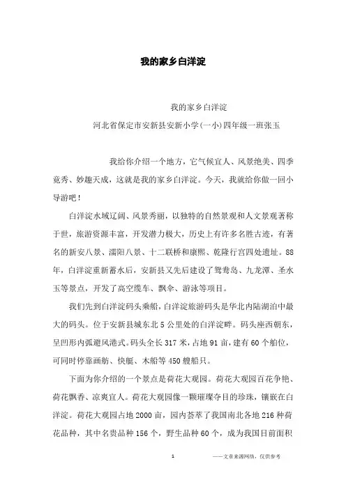 我的家乡白洋淀_小学生
