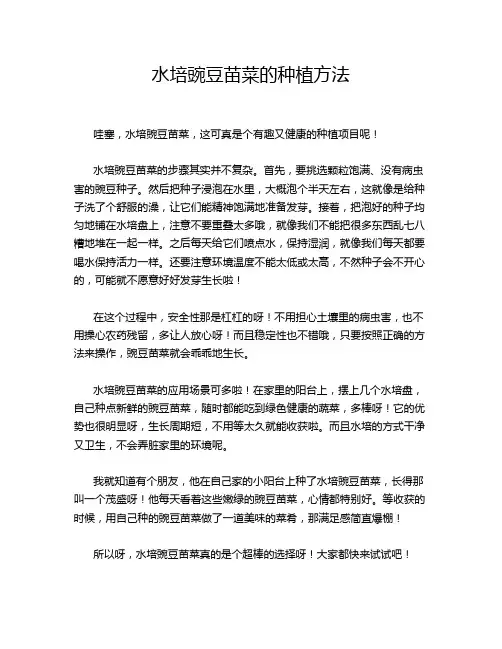 水培豌豆苗菜的种植方法