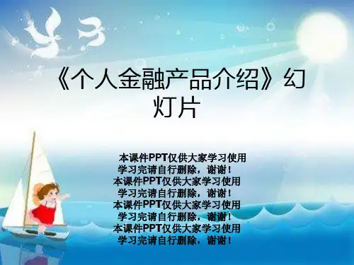 《个人金融产品介绍》幻灯片
