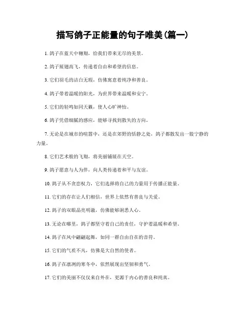 描写鸽子正能量的句子唯美(精选合集2篇)