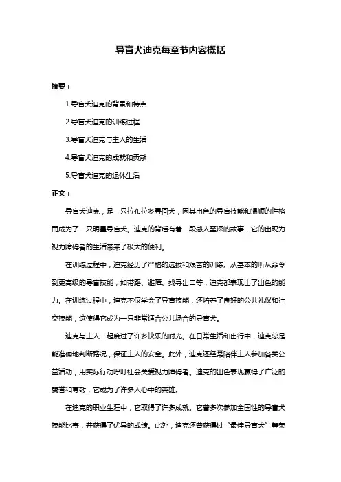 导盲犬迪克每章节内容概括