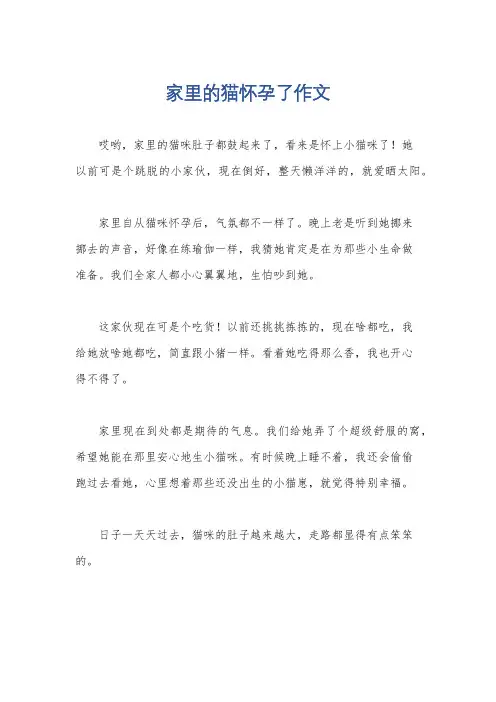家里的猫怀孕了作文