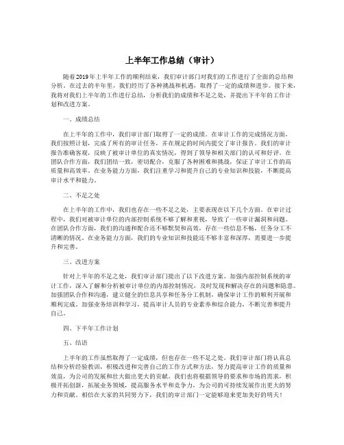 上半年工作总结(审计)