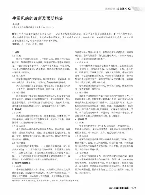 牛常见病的诊断及预防措施