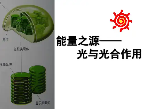 高中生物课件-光合作用的过程