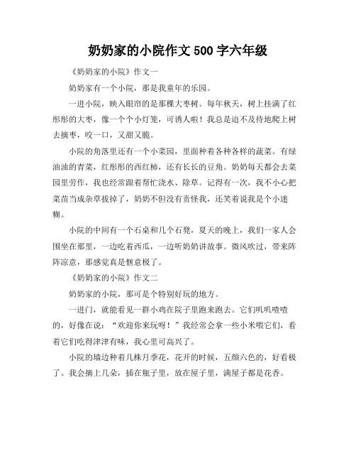 奶奶家的小院作文500字六年级