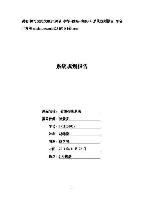 4系统规划报告