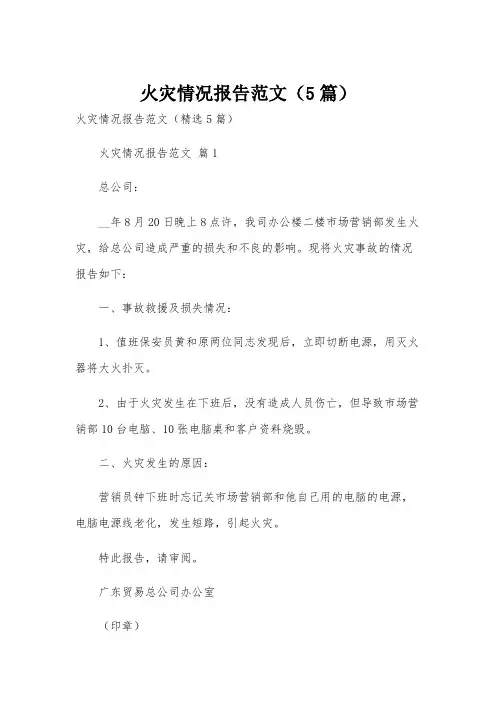 火灾情况报告范文(5篇)