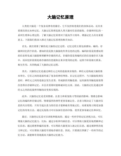 大脑记忆原理