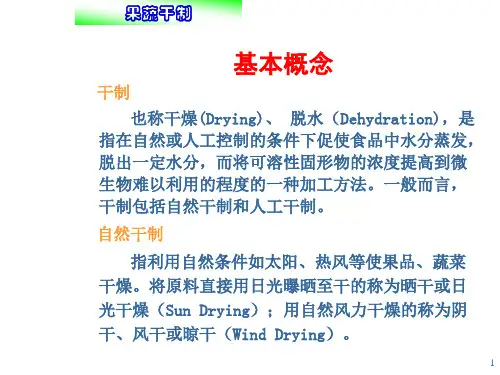 果蔬加工-果蔬干制