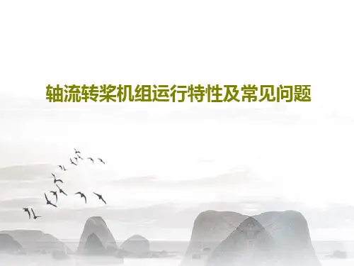 轴流转桨机组运行特性及常见问题25页PPT