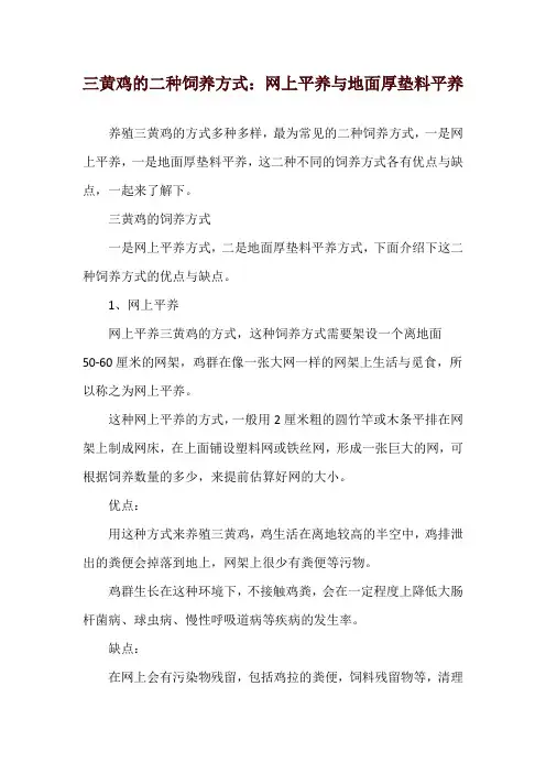 三黄鸡的二种饲养方式：网上平养与地面厚垫料平养
