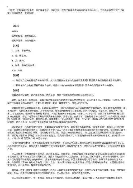 王安石《梅花》古诗词赏析