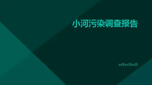 小河污染调查报告