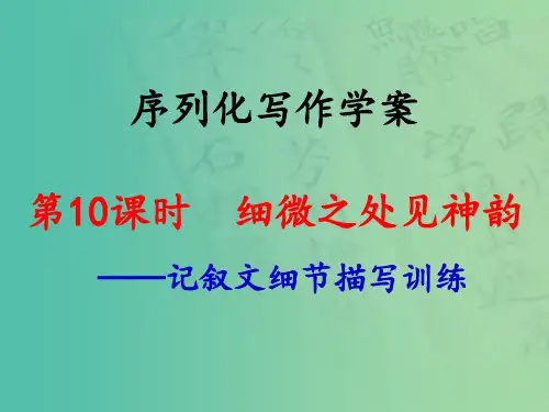 高考语文一轮复习 序列化写作 细微之处见神韵