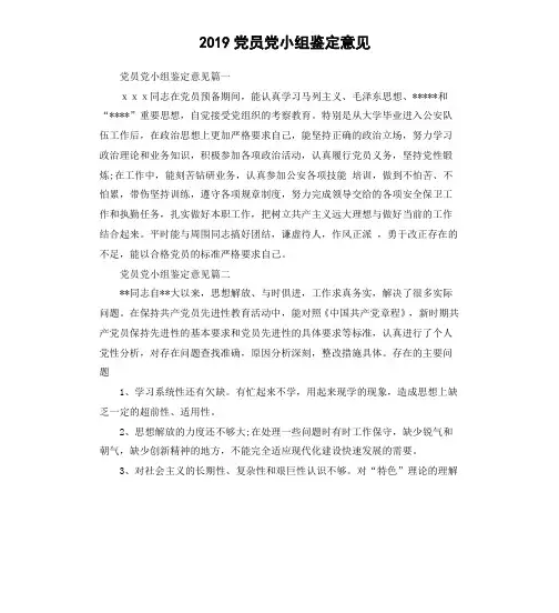 2019党员党小组鉴定意见