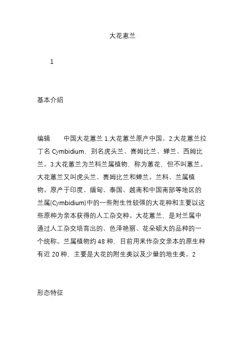 大花惠兰