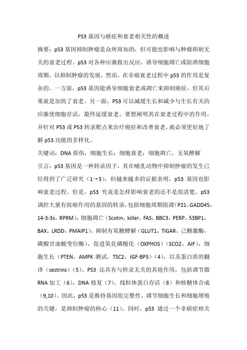 P53基因与癌症和衰老相关性的概述