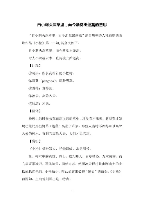 自小刺头深草里,而今渐觉出蓬蒿的意思