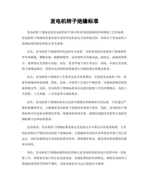 发电机转子绝缘标准