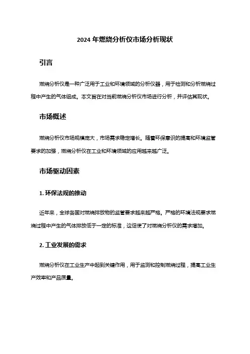 2024年燃烧分析仪市场分析现状