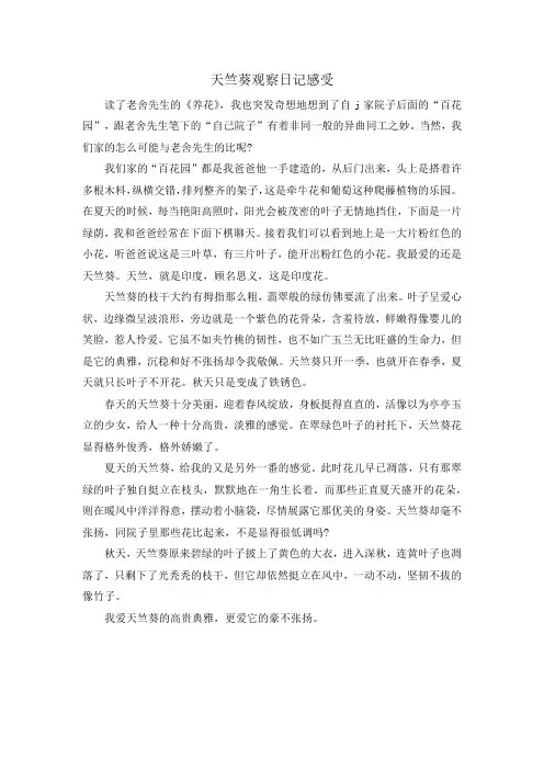 天竺葵观察日记感受500字