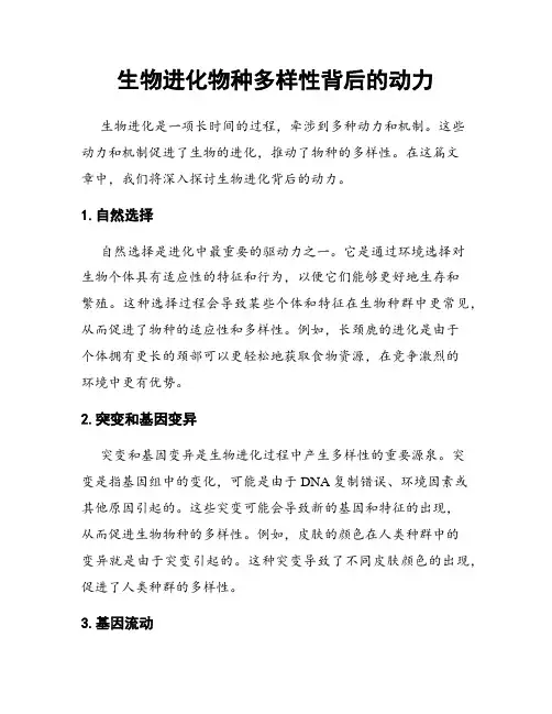 生物进化物种多样性背后的动力