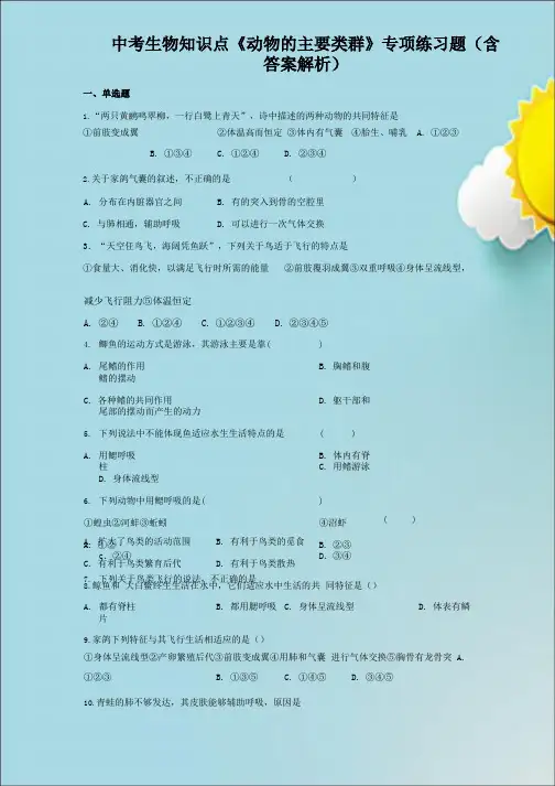 中考生物知识点《动物的主要类群》专项练习题(含答案解析)