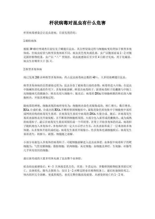 杆状病毒对昆虫有什么危害.