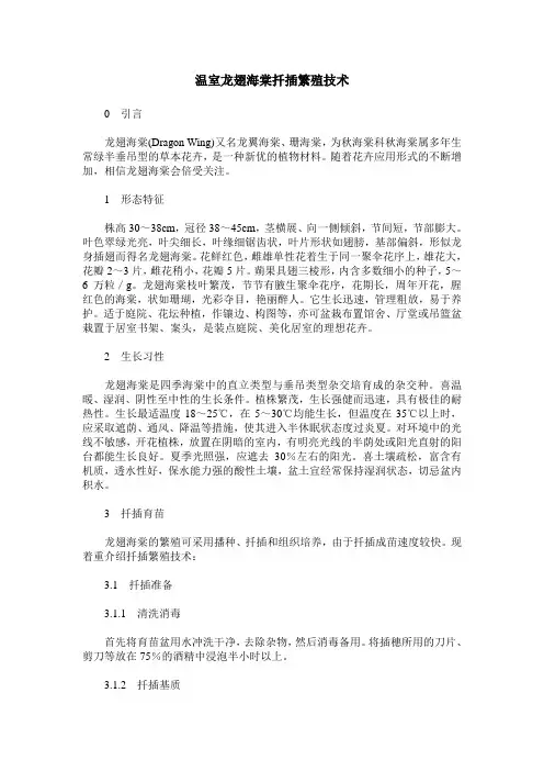 温室龙翅海棠扦插繁殖技术