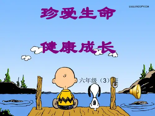 珍惜生命健康成长小学六年级主题班会ppt课件
