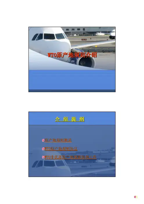 WTO货物原产地规则介绍(pdf 21页)
