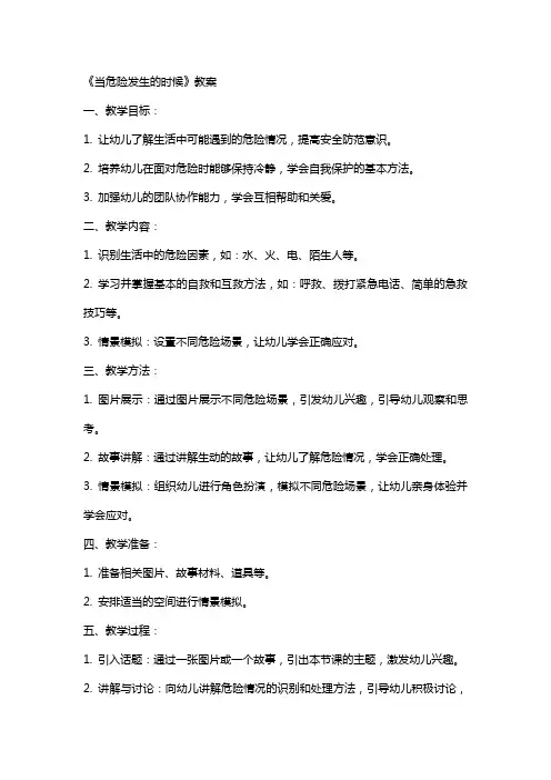 《当危险发生的时候》教案