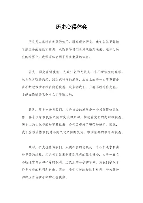 历史心得体会