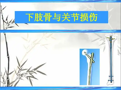 下肢骨与关节损伤-PPT