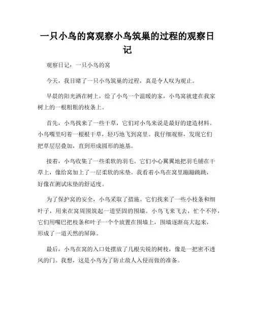 小学三年级作文一只小鸟的窝观察小鸟筑巢的过程的观察日记