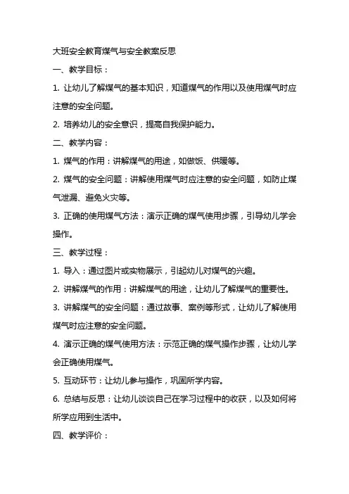 大班安全教育煤气与安全教案反思