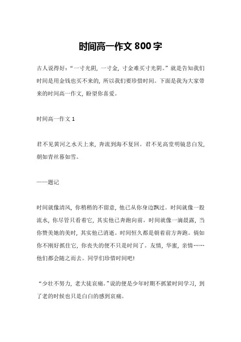 时间高一作文800字