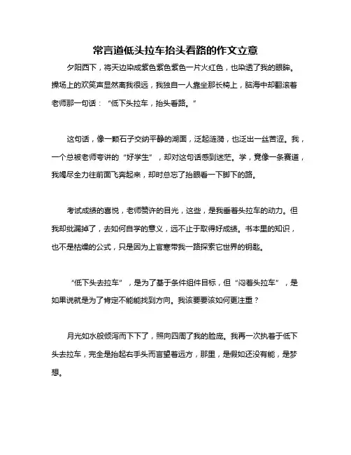 常言道低头拉车抬头看路的作文立意