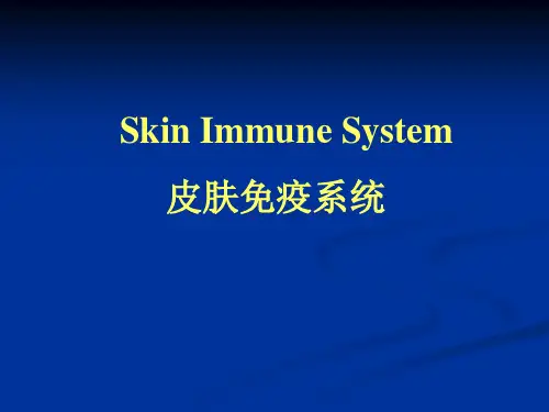 皮肤免疫系统