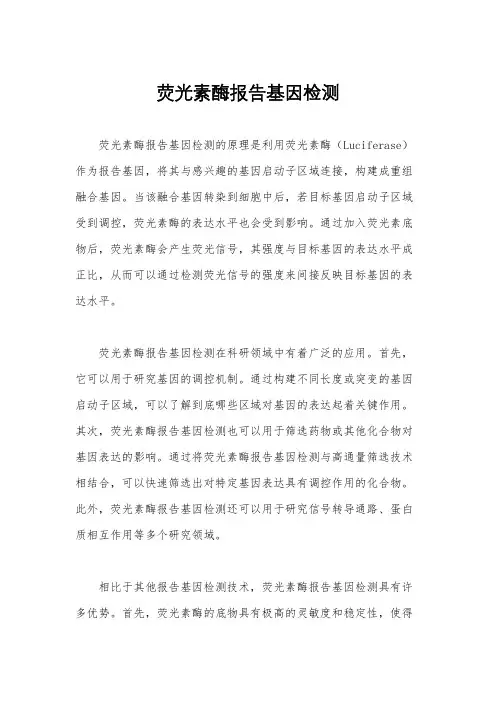 荧光素酶报告基因检测