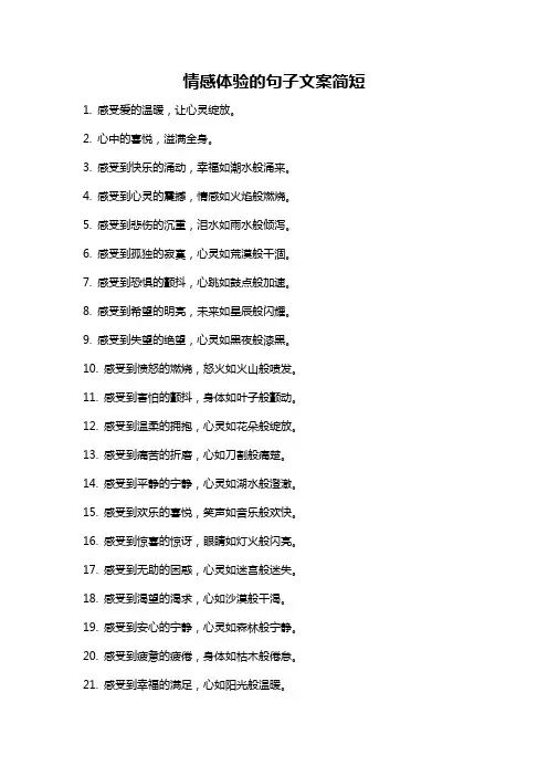 情感体验的句子文案简短
