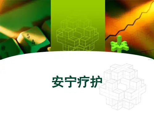 安宁疗护 PPT
