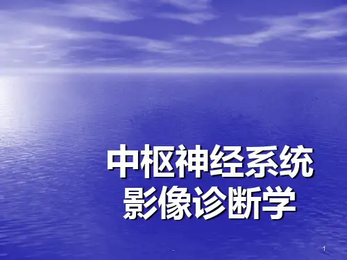 -中枢神经系统ppt课件