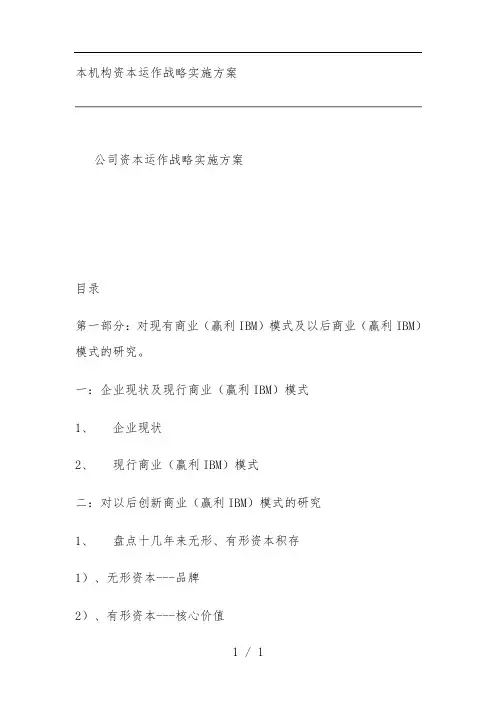 公司资本运作战略实施策划方案