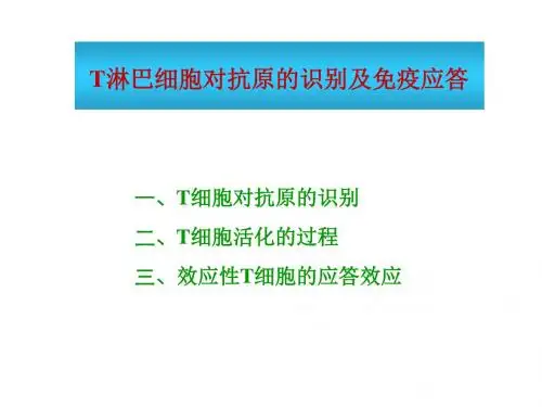 10 T细胞介导免疫——中文版 PPT课件 