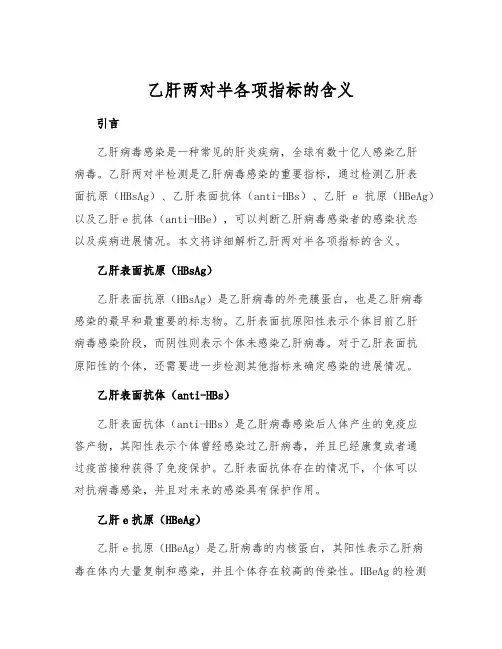 乙肝两对半各项指标的含义