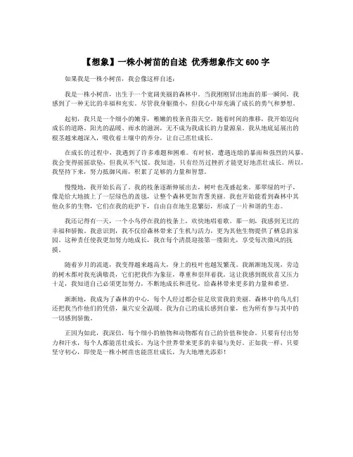 【想象】一株小树苗的自述 优秀想象作文600字