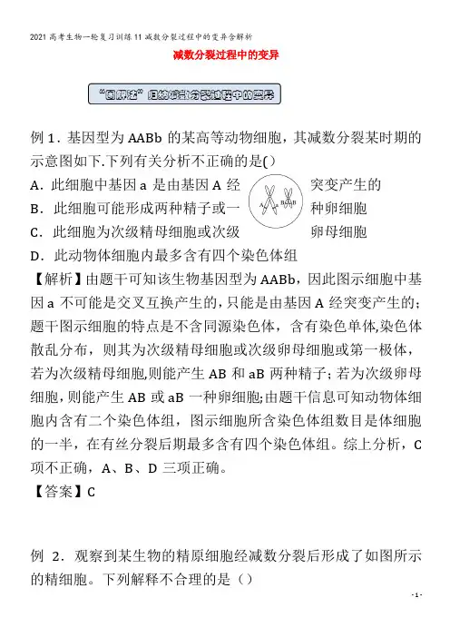 生物一轮复习训练11减数分裂过程中的变异含解析