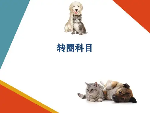 宠物玩赏训练—转圈训练(宠物训导课件)